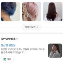 세느린 네이버블로그