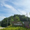 경기도야생동물구조관리센터 네이버블로그