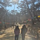 강화올제스파온수수영장바다펜션 | [강화 전등사]국가유산 방문 캠페인 여권 투어 스탬프 위치 주차 팁(초등가족역사여행 추천)