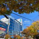 라포레스트