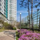 해모로코너공인중개사사무소 이미지