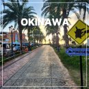 북부약국 | 오키나와 북부투어 6월 7월 자유여행 아메리칸빌리지 만좌모