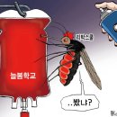 13 이미지