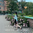 동상2공원AP2(공원내 가로등) | 코펜하겐 카드 무료입장 가능 - 티볼리공원 추천 방문 시간