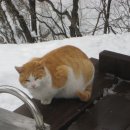 고향의 “해미 남수 형과 덕순이 누나” 생각이 난다 이미지