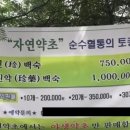 갤러리백숙 이미지