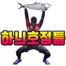 회뜨는선장님
