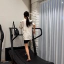 나무트레이닝 이미지