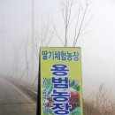 용범농장 네이버블로그