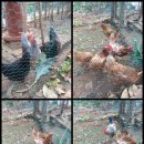 길원농장 이미지