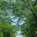 장봉보건지소 이미지