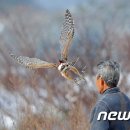 매사냥체험홍보관 이미지