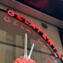 쩡7가게 | 여행일기인지 정원일기인지