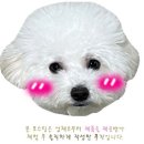 안청무궁화공원 이미지