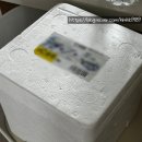 중앙짬뽕 | 강릉 짬뽕오징어순대 중앙시장 본점 내돈내산 택배 후기