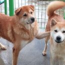 우리와 주식회사 이미지