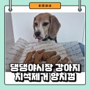 용이네맛치킨 | 댕댕야시장 강아지 치석제거 양치껌 치킨맛 리뷰