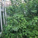 (주)씨텍 이미지