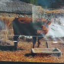 소요산.자재암.(원효대사 .요석공주)＜*******＞설총. 이미지
