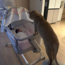 프라지움아파트(9차) | 10. 모두 다 이뤄질 거야 💫