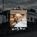 고성리경로당 | [제주/카페] 바이트파이 • 성산 파이 맛집 • 애견동반 카페 추천