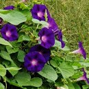 윤택농장 이미지