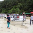 강촌출렁다리 이미지