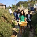 애향초등학교 이미지