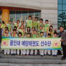 용인대 예당 태권도장 이미지