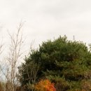 금와습지 생태공원 이미지