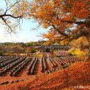 가을의 끝자락과 겨울의 문턱을 알리는 입동❄ 충남 논산 #명재고택﻿ 이미지