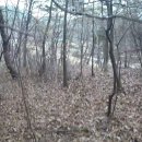 돼지두마리 이미지