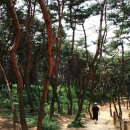 정릉11 이미지
