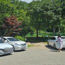 스테이그라찌아 이미지
