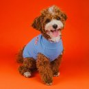 삼성부부한의원 | 50일의 기적/여전히 모유수유 고군분투/논문 발표