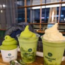 북촌 | 안국 카페 오설록 티하우스 북촌점 내돈내산 후기