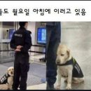 칭구칭구 pc방 이미지