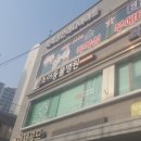 안산펫택시 이미지
