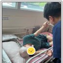 양주평화의원 이미지