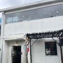 플랜츠비 | 7월 식물마켓 역삼 타우너스 풀판다 서울 다녀온 후기