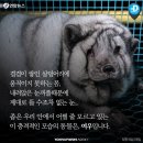 여우뜰