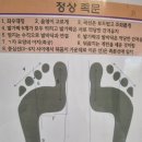 알즈너대한 이미지