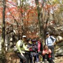 동산초교 이미지