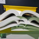디자인지군