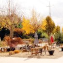 원평동물병원 이미지