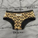 삼각 | 아레나재팬 수영복 팀아레나 남자 삼각 수영복 후기