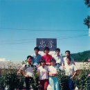 팀85 Daum카페
