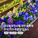 연못들2 | 유성봄꽃전시회 대전 꽃축제 나들이 후기 주차 주변맛집