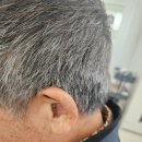 부안보청기 이미지