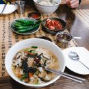 고향전통손칼국시 Daum카페